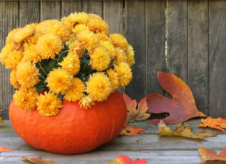 autumn curb appeal